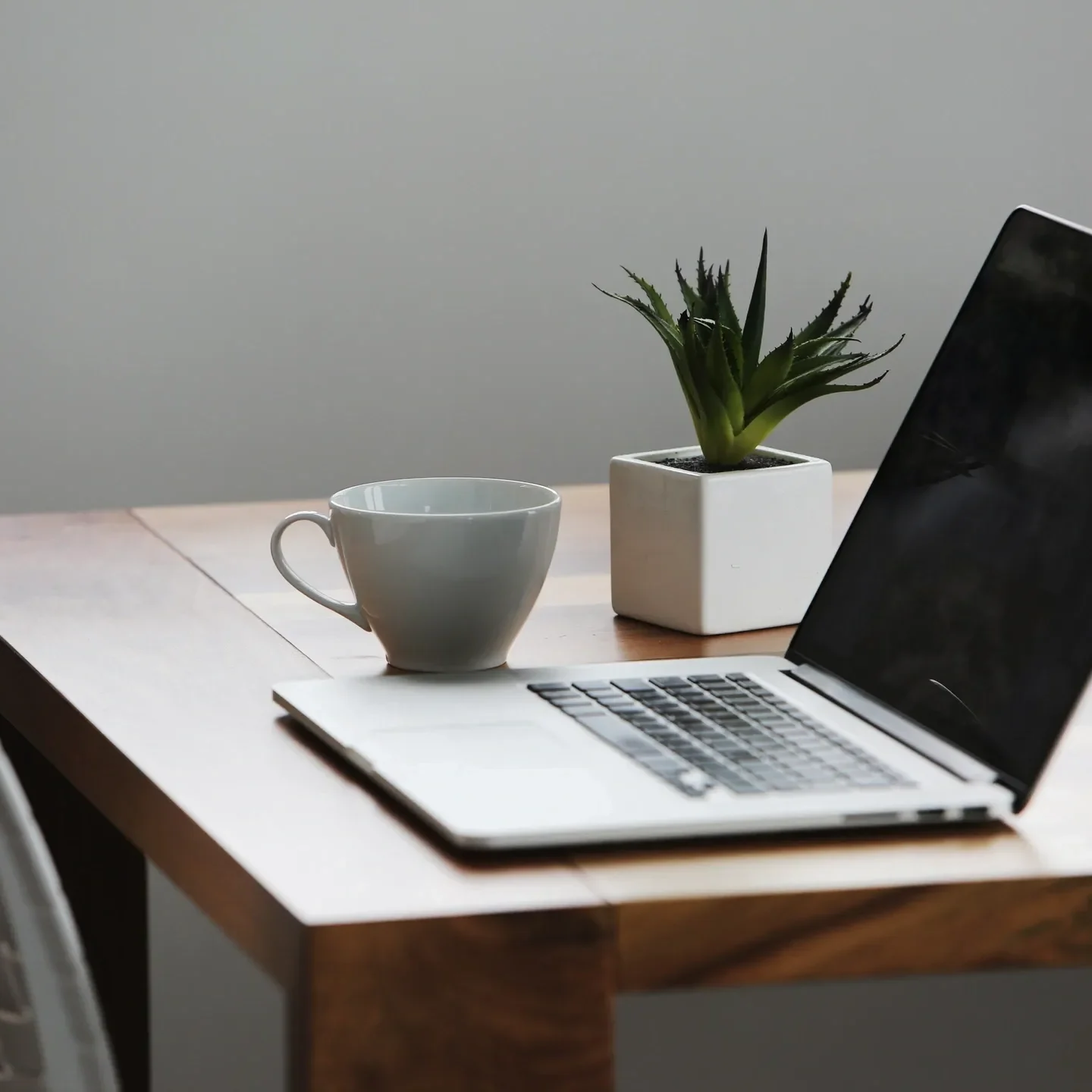 A laptop, coffee cup, and potted plant on a wooden desk.